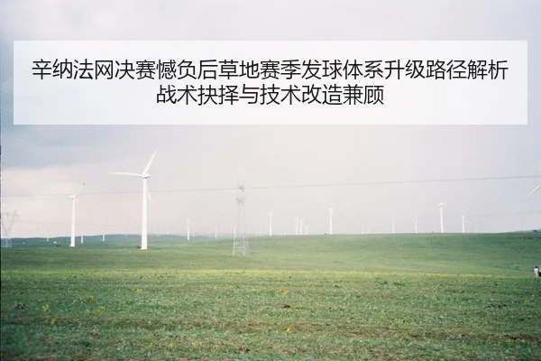 辛纳法网决赛憾负后草地赛季发球体系升级路径解析战术抉择与技术改造兼顾